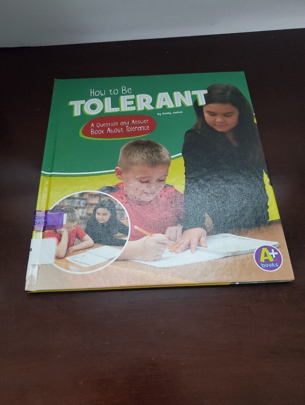 How to Be Tolerant Kids Book -emily James Hardcover Preowned